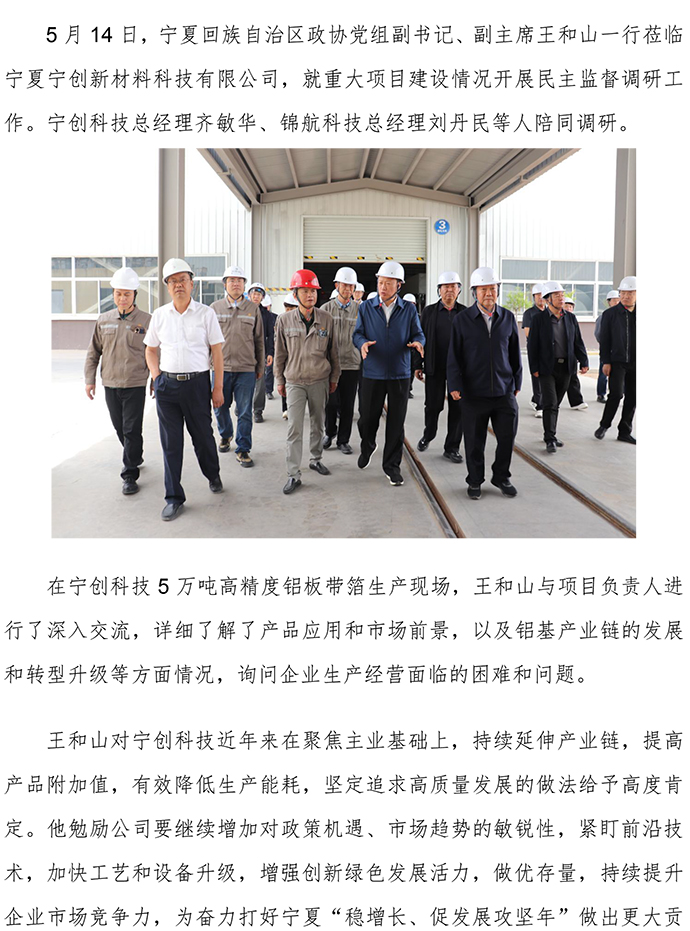 20250514自治區政協黨組副書記、副主席王和山一行蒞臨寧創科技公司就重大項目建設情況開展民主監督調研工作-1.jpg